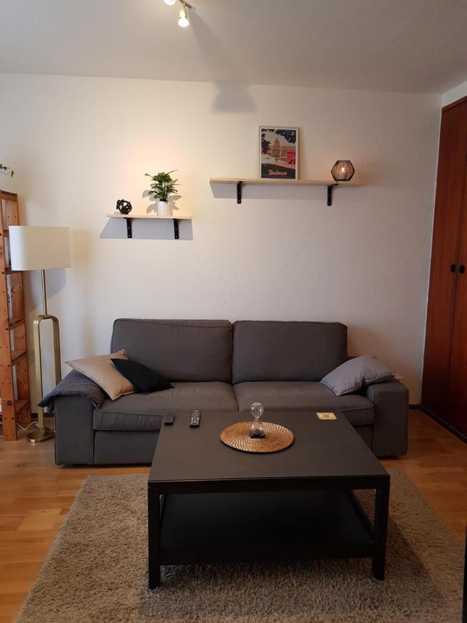 Superbe Appartement En Residence Avec Parking Tuluza Zewnętrze zdjęcie